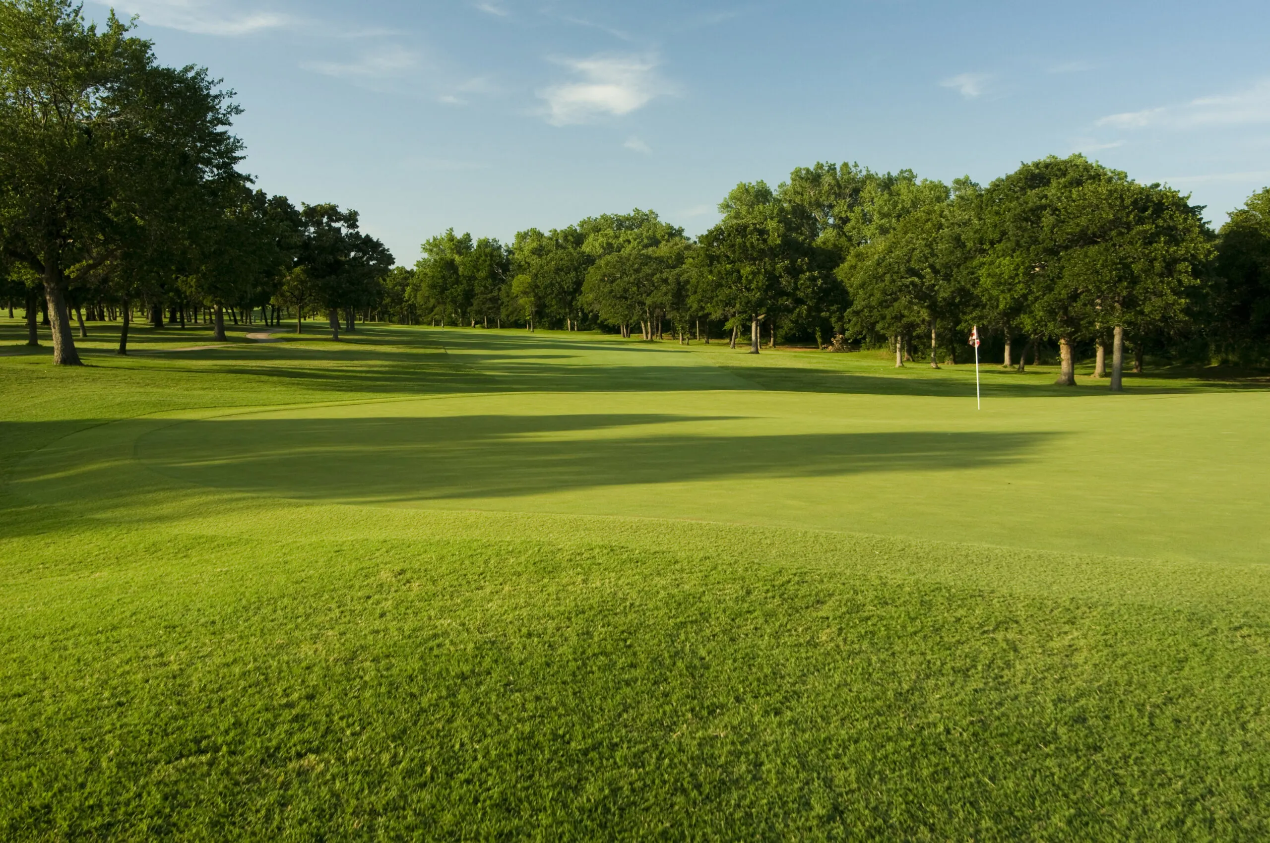 fairway wood