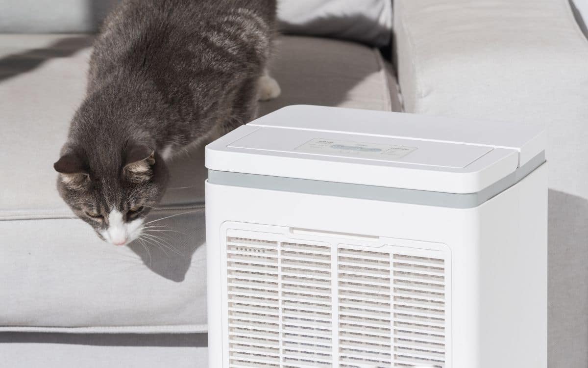 10 Best Air Purifiers for Pet Odors in 2024 shelf