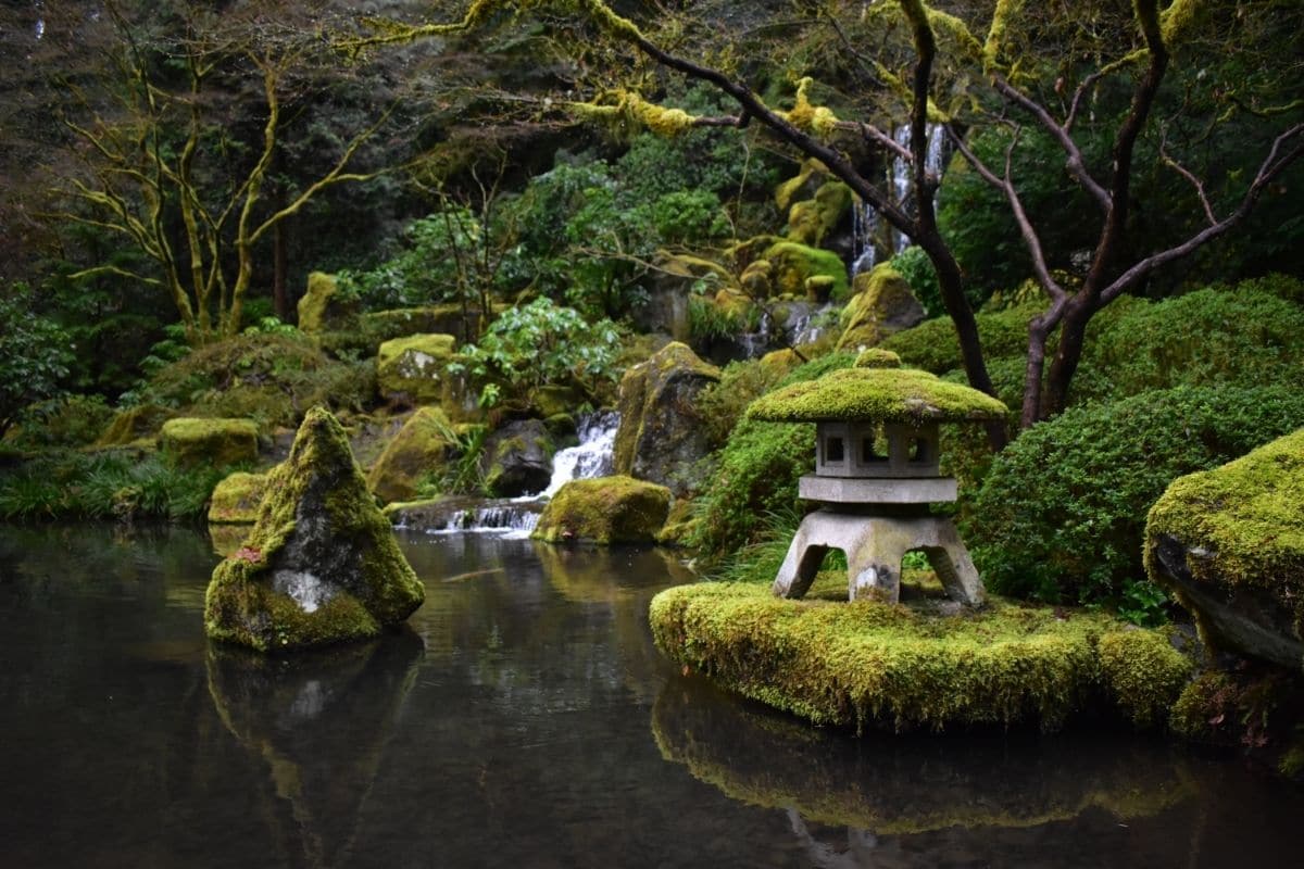 Zen Garden Ideas on a Budget: How to Make a Zen Garden - shelf