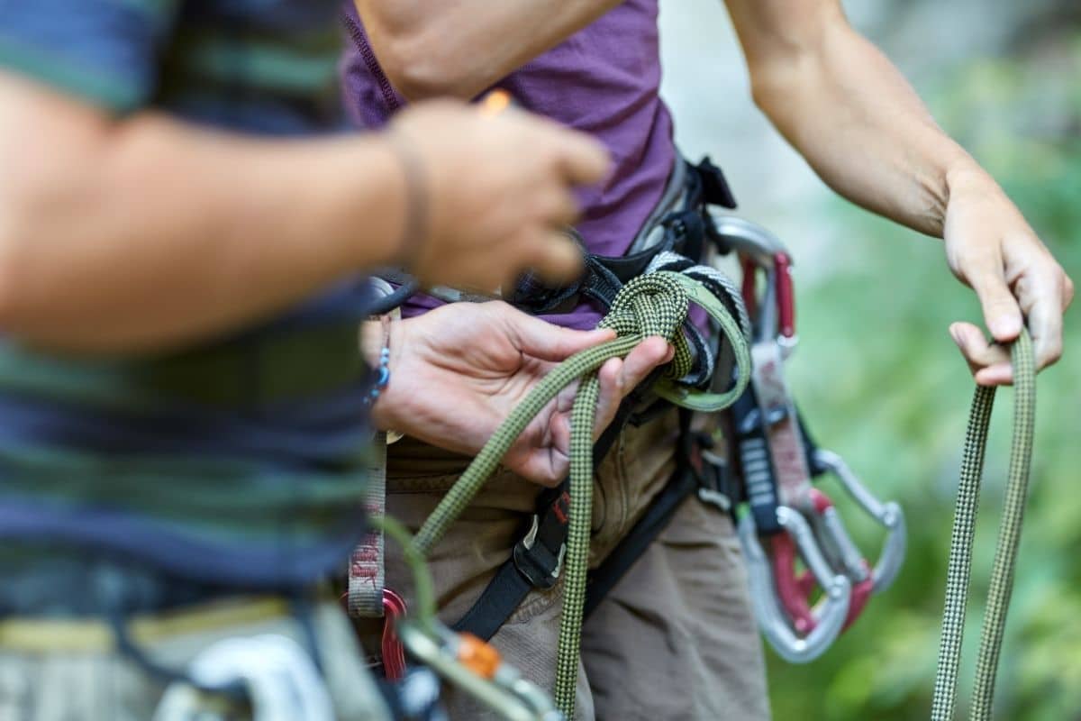 7 Best Climbing Harnesses in 2024 - shelf