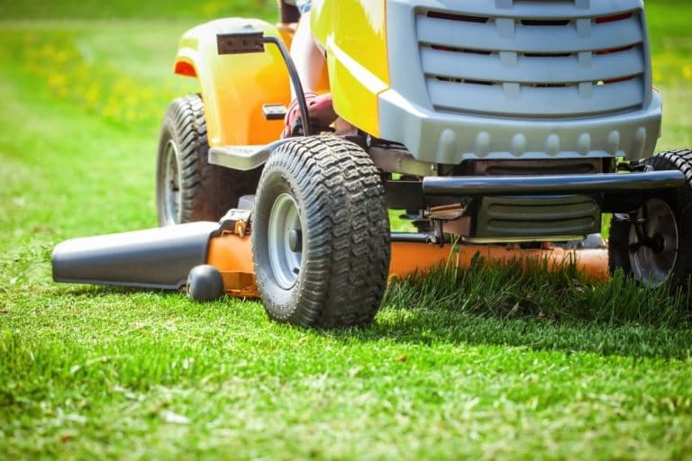 6 Best Riding Lawn Mowers in 2024 Top Lawn Tractors, Garden Tractors