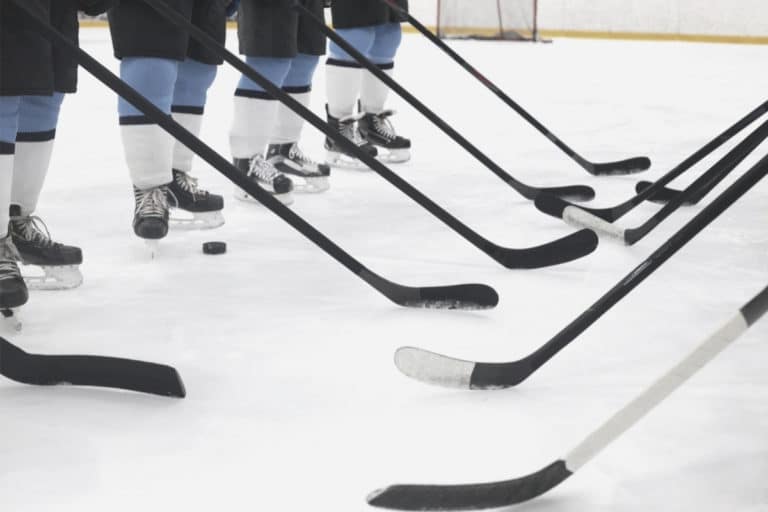 The 5 Best Hockey Sticks in 2024 shelf