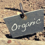 Best Organic Liquid Fertilizers